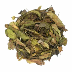 Odkryj wyjątkowy smak białej herbaty z Nilgiri
