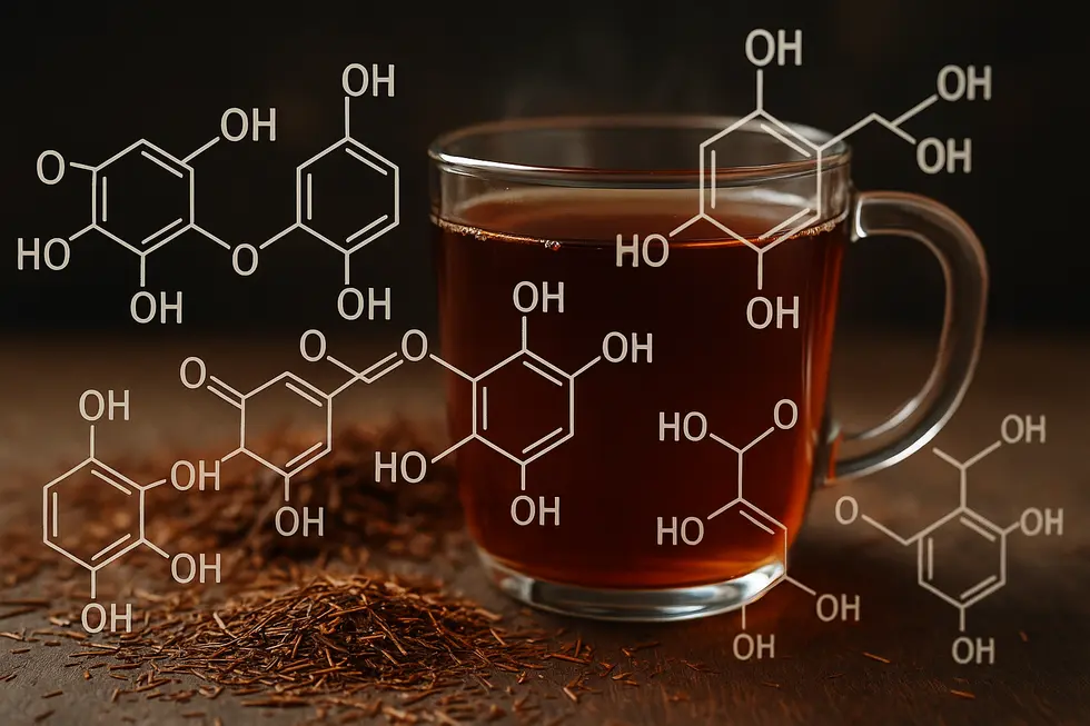 Cederberg – unikatowe miejsce uprawy rooibos.