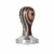 Kolorowy tamper 51/53/58 mm – drewniana rękojeść & stalowy spód
