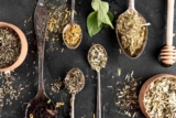 Ekologiczna herbata: Dlaczego warto wybierać produkty organiczne?