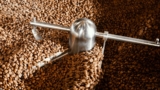 Od ziarna do filiżanki: Proces produkcji kawy krok po kroku